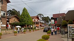 Monte Verde 02